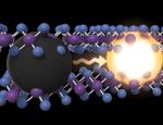 Lattice vibrations boost photoluminescence