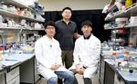 Photonic Capsules for Injectable Laser Resonators