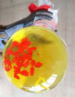 Scientists develop highly sensitive molecular optical pressure sensor