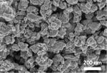 Barium ruthenate: A high-yield, easy-to-handle perovskite catalyst for the oxidation of sulfides