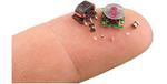 Developing Microrobotics for Disaster Recovery and High-Risk Environments