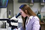 Fantastic plastics: Research collaboration could reshape injection molding