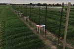 Research Brief: UMN researchers develop DIY field imaging system