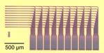 NIST Chip Lights Up Optical Neural Network Demo