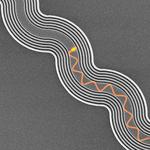 Trapping light that doesn’t bounce off track for faster electronics