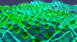 Complexity test offers new perspective on small quantum computers