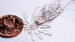 Soft multifunctional robots get really small