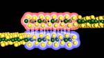 For UW physicists, the 2-D form of tungsten ditelluride is full of surprises