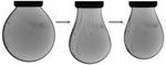 Scientists ‘Squeeze’ Nanocrystals in a Liquid Droplet Into a Solid-Like State - and Back Again