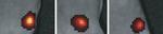 Light-Emitting Nanoparticles Could Provide a Safer Way to Image Living Cells