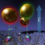 A novel nanoactuator system has been developed