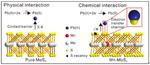 Researchers Reveal Ultrahigh Electrochemical Sensing of Heavy Metal Ions via Defect and Phase-Engineering