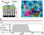 Scientists Make New Transistors Working Without Electricity Supporting