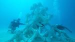 World’s Largest 3D Printed Coral Reef Installed At Maldives Island Resort
