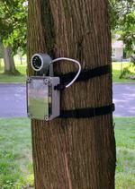MammalCam
