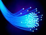 Scientists reveal protection of optical fiber against biomolecules