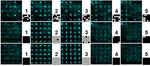 Could a ‘demon’ help to create a quantum computer?