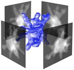 Getting an Up-Close, 3-D View of Gold Nanostars