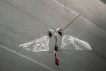 Novel flying robot mimics rapid insect flight