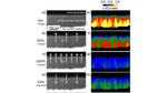 Panasonic Develops the Technology to Visualize Movement of the Lithium Ions in the Next-Generation Batteries During the Charging and Discharging Processes