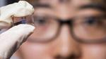 Tiny camera lens may help link quantum computers to network