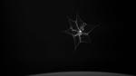 Net successfully snares space debris