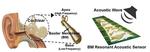 Flexible Piezoelectric Acoustic Sensors for Speaker Recognition