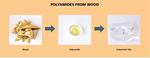 A transparent and thermally stable polyamide - 100 percent biobased
