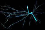 Electrical properties of dendrites help explain our brain’s unique computing power