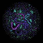 Artificial intelligence controls quantum computers