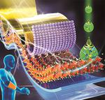 Scientists Review Recent Advances in Flexible Perovskite Solar Cell