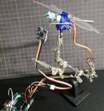 Head Swinging Dragonfly