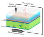 A Solar Cell That Does Double Duty for Renewable Energy