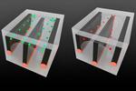 Inside these fibers, droplets are on the move