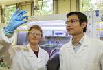 New efficiency record for low-cost solar cell