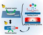 Micropumps as a platform for understanding chemically propelled micromotors