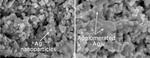 Helping fuel cells beat the heat