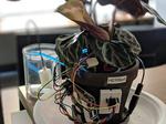 Herb(ert): A Desk Plant with Automated Irrigation