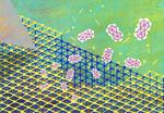 Capturing the surprising flexibility of crystal surfaces