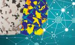 Creating digital twins of materials