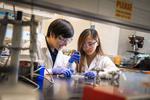 Easy to use 3D bioprinting technique creates lifelike tissues from natural materials