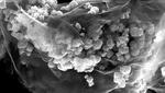 For a longer battery life: Pushing lithium ion batteries to the next performance level