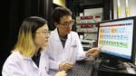 NUS engineers invent groundbreaking spin-based memory device