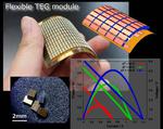 Flexible thermoelectric generator module: a silver bullet to fix waste energy issues