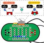 Switch-in-a-cell electrifies life