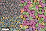 Chemists create new quasicrystal material from nanoparticle building blocks