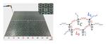Discovery of Topological LC Circuits Transporting EM Waves without Backscattering
