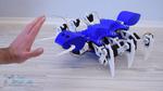Arduino Ant Hexapod Robot
