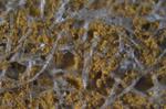 Smart fabrics made possible by new metal deposition technique