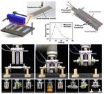 Multimaterial 3D printing used to develop Fast Response Stiffness-tunable Soft Actuator